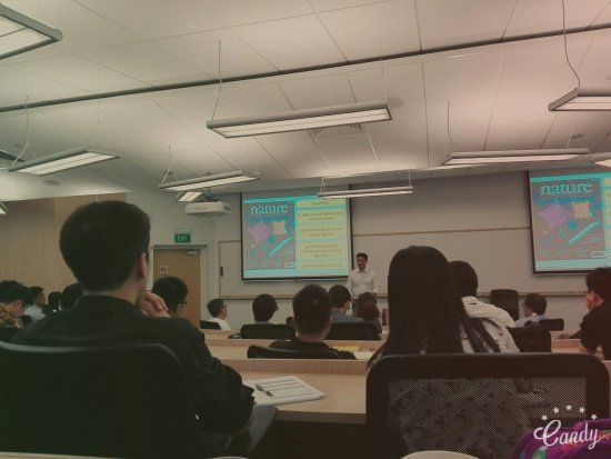 Singapores nationella universitet