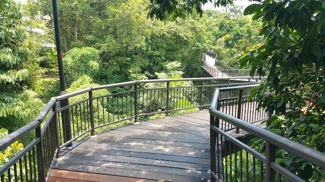 Kent Ridge Park